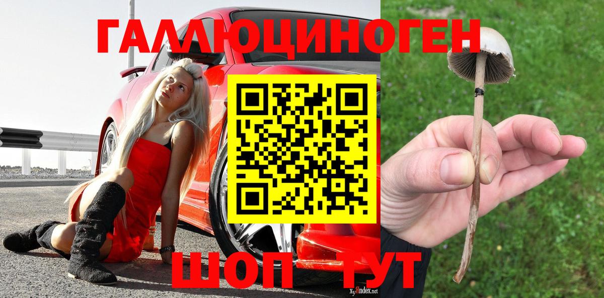 Галлюциногенные грибы прущие грибы Касимов