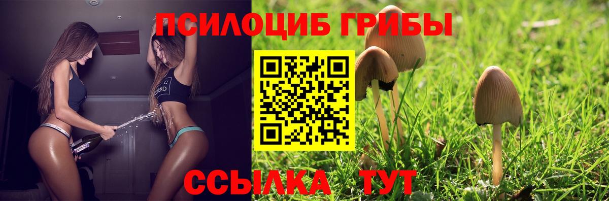 Галлюциногенные грибы мицелий  Галлюциногенные грибы мухоморы  Вход с VPN  наркошоп  Касимов 